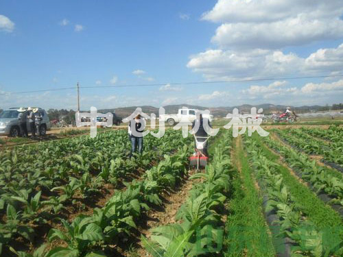 黃煙開溝培土機(jī)